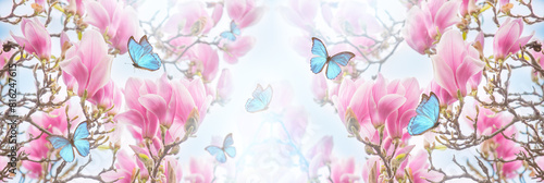 Magnolia flower and Morpho didius butterflies in spring fairy tale blooming garden on mysterious floral soft light background, beautiful natural dreamy landscape, wide symmetric panoramic banner.