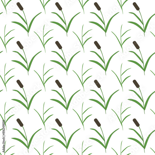 Swamp reeds  simple grass. Seamless pattern. Vector illustration.