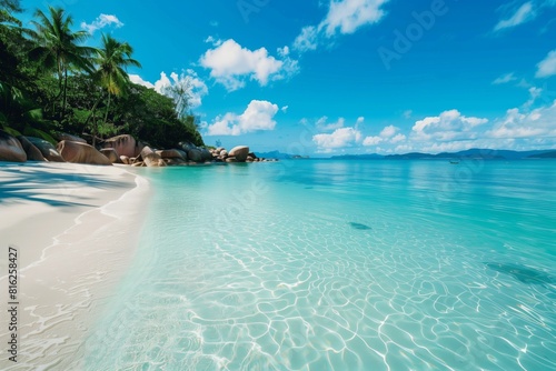 Fototapeta Naklejka Na Ścianę i Meble -  Tropical beach