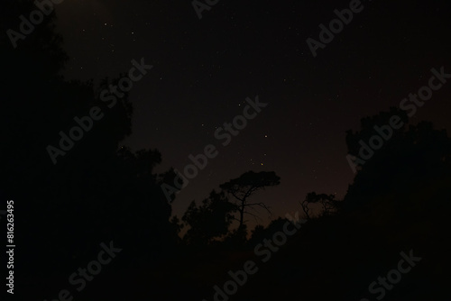 Fototapeta Naklejka Na Ścianę i Meble -  starry sky and beach