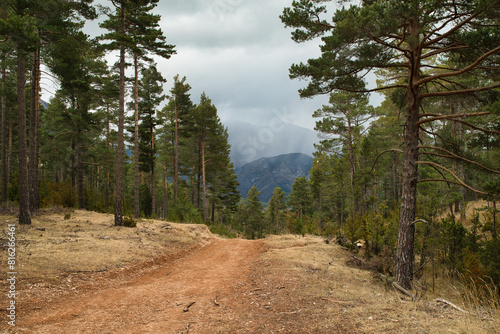 Photograph of a very wide trail for mountain biking or hiking.