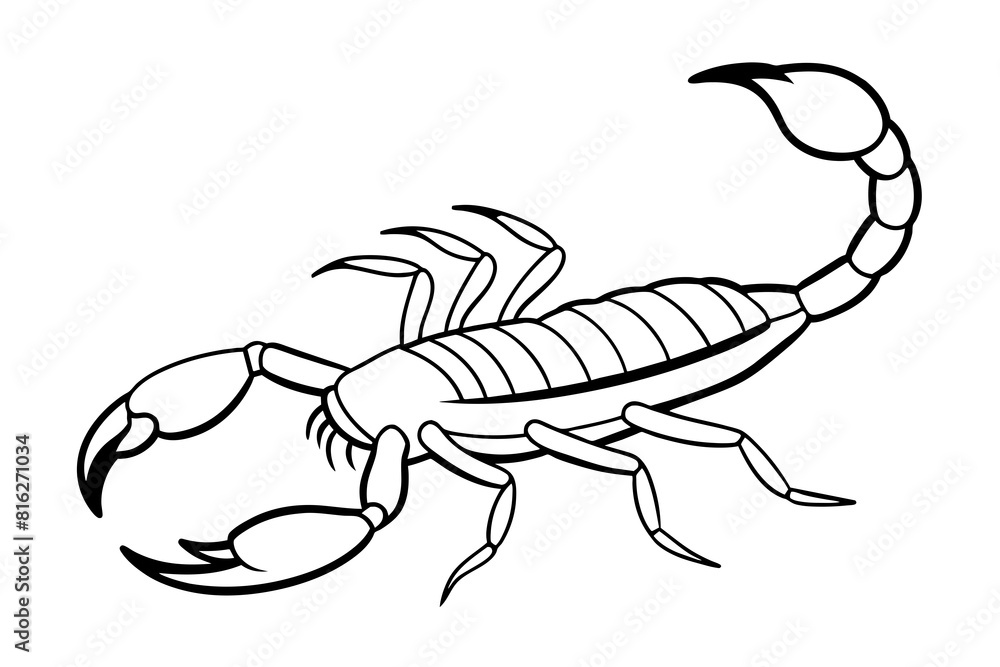 scorpion line art silhouette illustration scorpion line art silhouette illustration