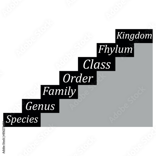 biological classification diagram. biology content. Vector Illustration.