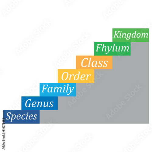 biological classification diagram. biology content. Vector Illustration.