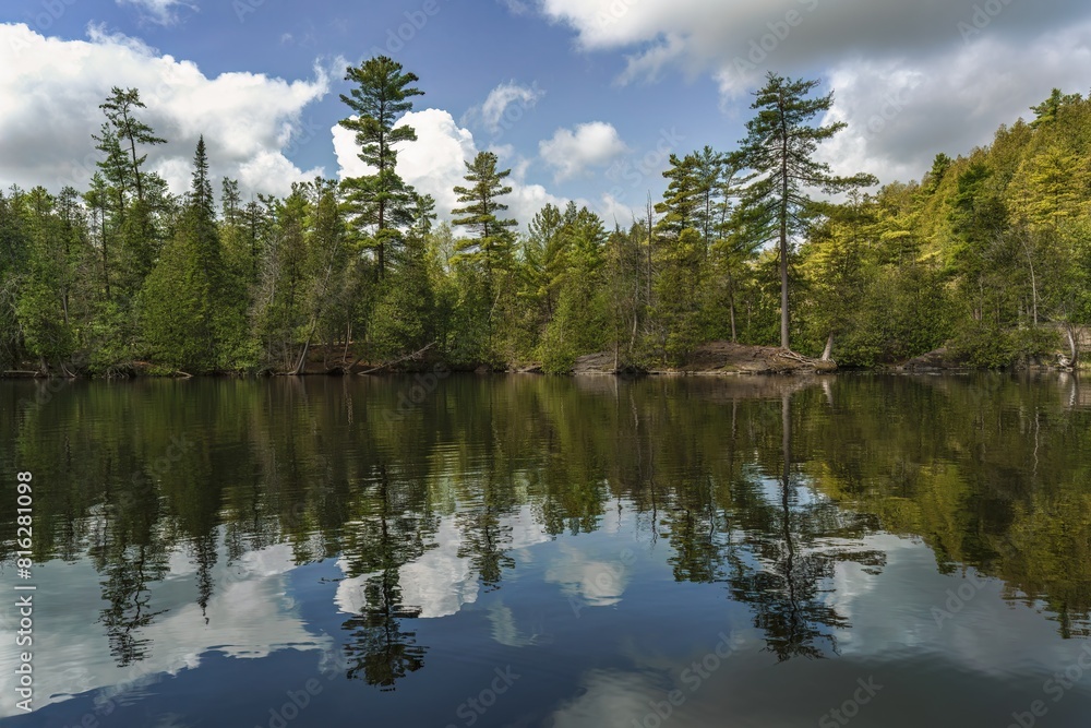 Obraz premium Forest along the shore of the Eramosa River in the Rockwood Conservation Area of Ontario, Canada