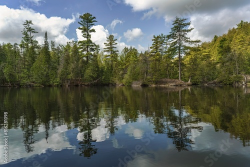 Forest along the shore of the Eramosa River in the Rockwood Conservation Area of Ontario, Canada photo