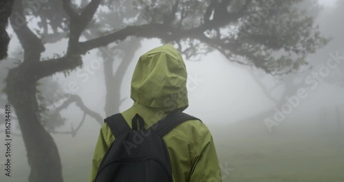 Attractive woman in green jacket walk in foggy forest Fanal on Madeira island photo