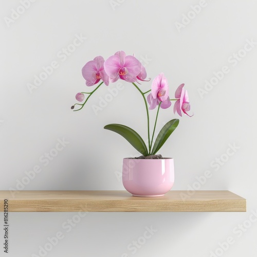Wallpaper Mural Orchid background with copy space. Torontodigital.ca