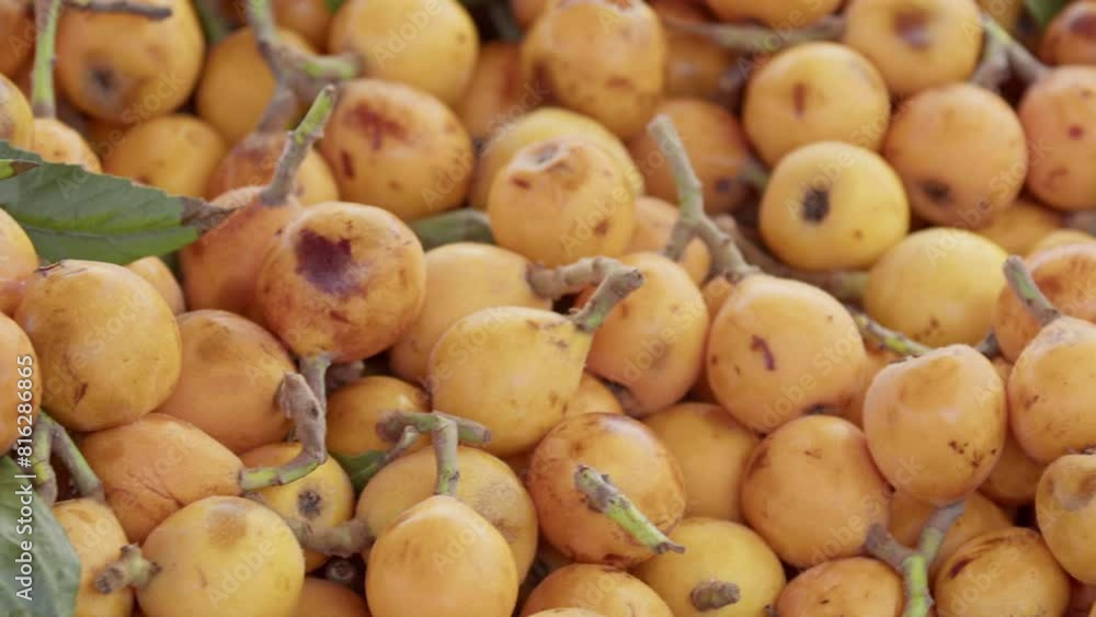 Many Pile of New Crop Loquat Japanese Medlar on Market Stall Footage. Many Pile of New Crop Loquat Japanese Medlar on Market Stall Footage.