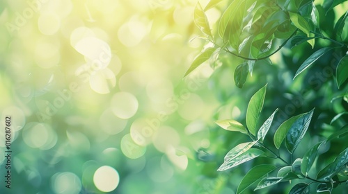 Blurred natural beauty with green foliage bokeh backdrop during summer Evergreen scenery with a hazy background © LukaszDesign