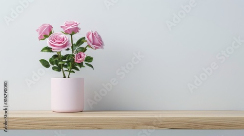 Wallpaper Mural Rose background with copy space.  Torontodigital.ca