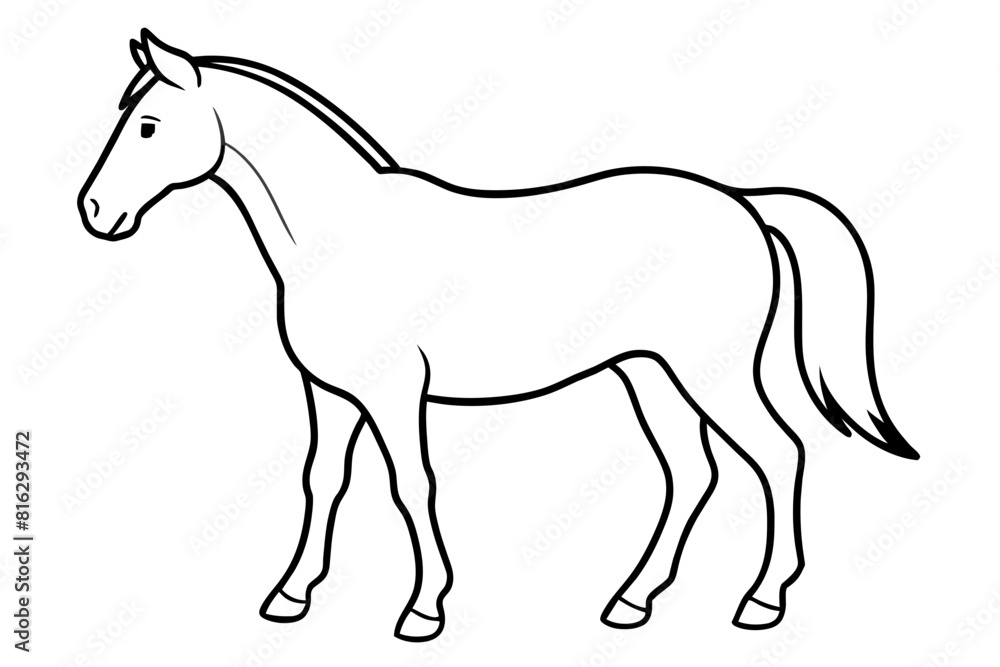 horse vector silhouette illustration horse vector silhouette illustration