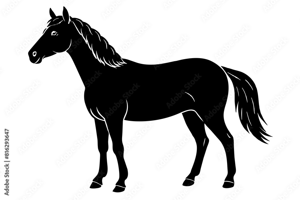 horse vector silhouette illustration horse vector silhouette illustration