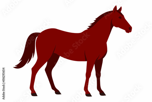 horse cartoon vector illustration