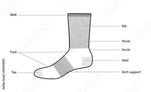 Diagrams of socks parts with text names. Hosiery Fashion accessory clothing technical illustration. Vector side view for Men style, flat template CAD mockup sketch outline isolated on white background