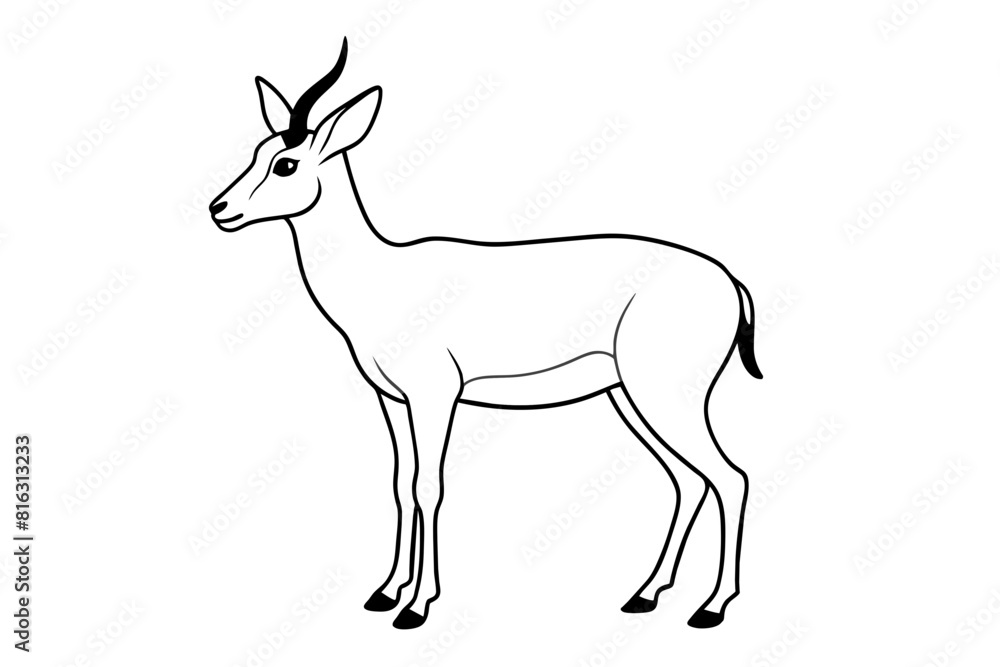 pronghorn vector silhouette illustration pronghorn vector silhouette illustration