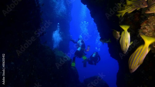 Wallpaper Mural Divers exploring underwater canyon with rugged rock formations at Cocos Island. Wide slow motion shot showcasing vastness and depth of underwater landscape, creating a sense of adventure and Torontodigital.ca