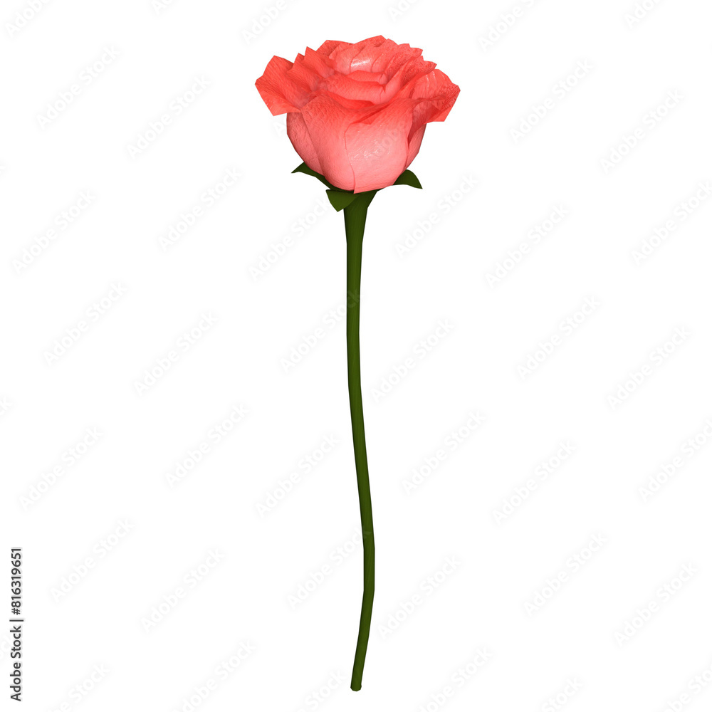 Rose flower isolated 3d rendered illustration Rose flower isolated 3d rendered illustration