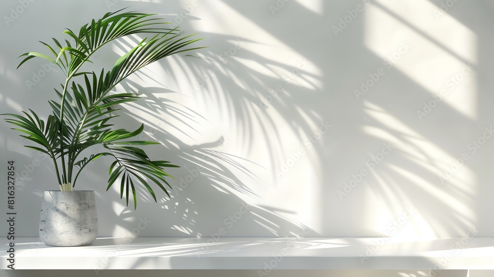 Empty white room with shadows from light
Empty white room with shadows from light
