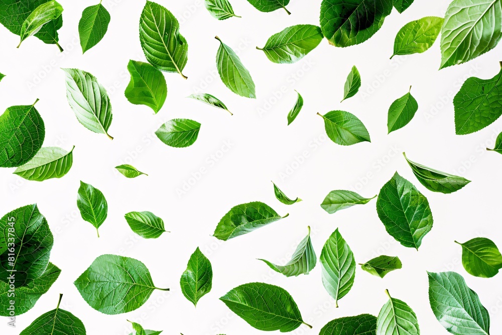 Vivid Green Leaf Pattern