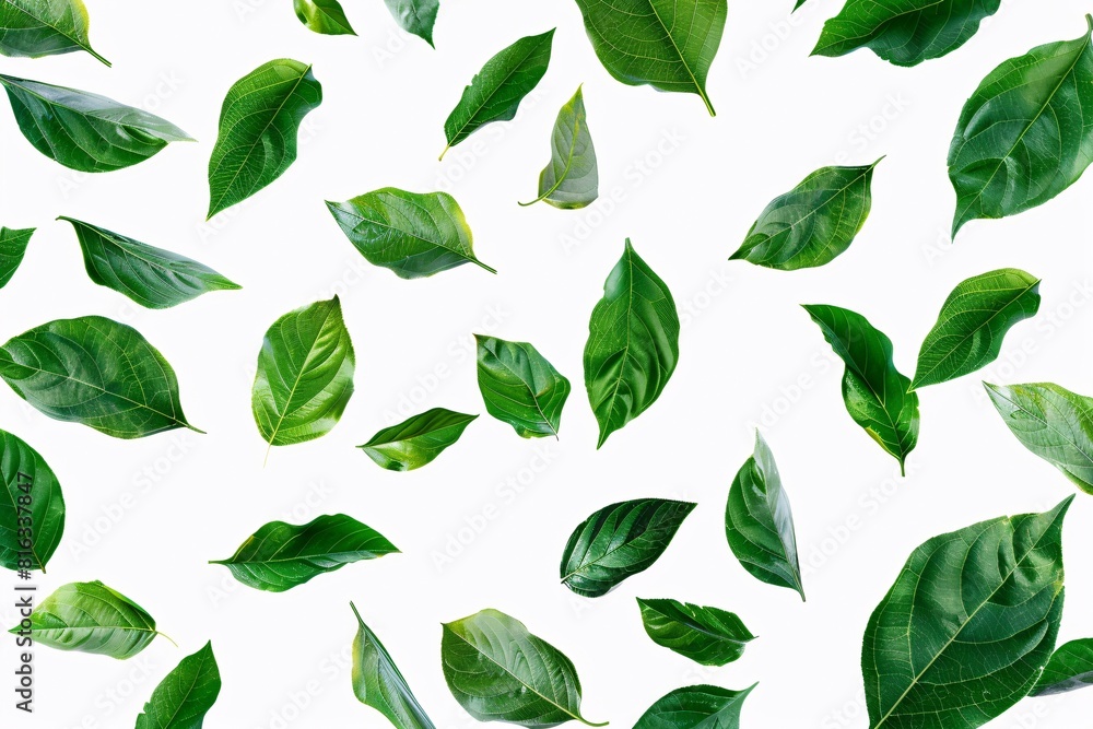 Vivid Green Leaf Pattern on White Background
