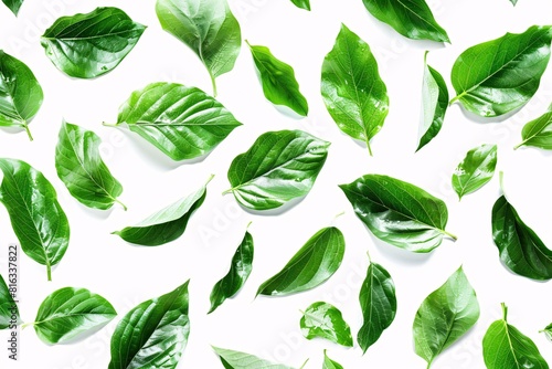 Green Leaf Pattern Background