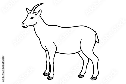 mountain goat vector silhouette illustration