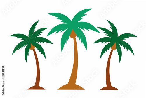 palm tree vector illustration