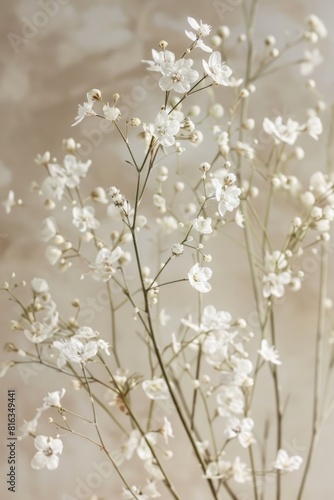 delicate soft white flowers closeup, ai