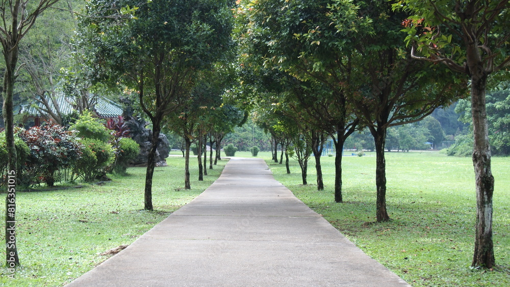 A straight walking or running path in the garden or park with tall green trees next to the path A straight walking or running path in the garden or park with tall green trees next to the path