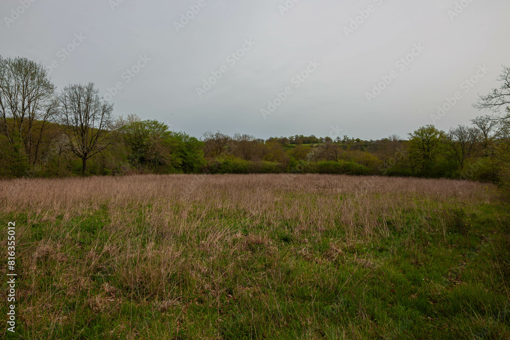 Fototapeta premium morning mist over the field