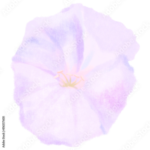 Flower watercolor painting colorfull