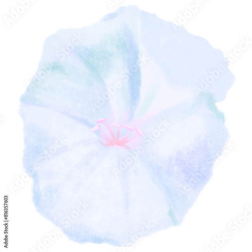 Flower watercolor painting colorfull