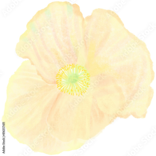 Flower watercolor painting colorfull