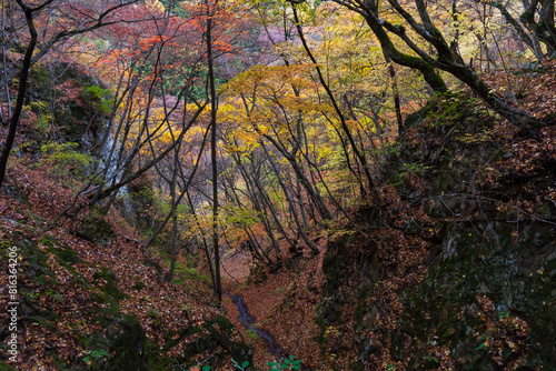 日本の風景・秋　群馬県沼田市　紅葉の吹割の滝（吹割渓谷）	
 photo