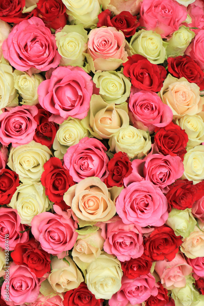 pink mixed wedding roses pink mixed wedding roses