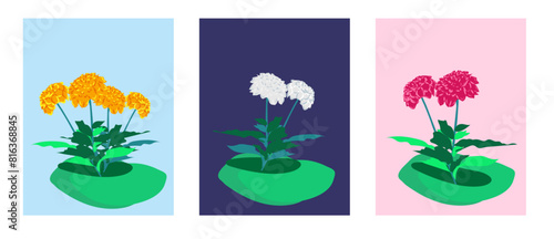 flores amarillas magenta y blanca para tarjetas en estilo vectorial