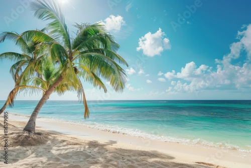 Tropical beach with clear water and green hills