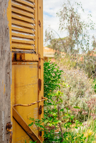 Yellow door texture in garden