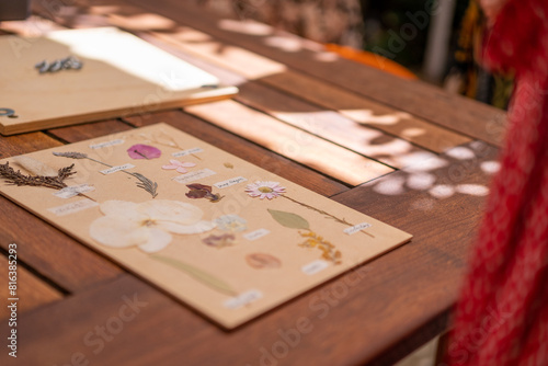 Pressed flowers on board