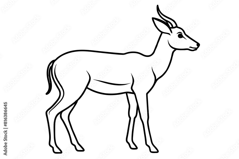 gazelle vector silhouette illustration