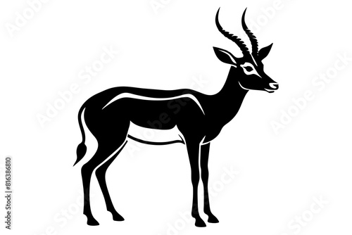 gazelle vector silhouette illustration