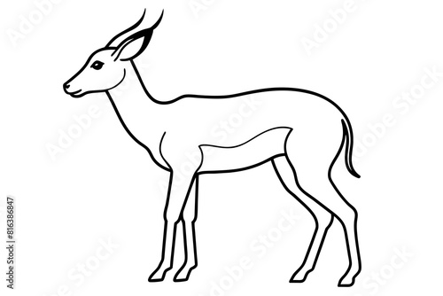 gazelle vector silhouette illustration © Shiju Graphics