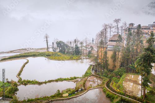 The houses surrounded by rice fields full of water in Duoyishu, Yuanyang, China photo