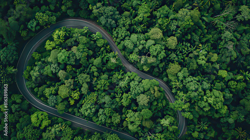 Aerial view green forest and asphalt road, Top view forest road going through forest with car adventure, Ecosystem ecology healthy environment road trip travel.