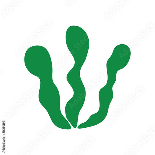 seaweed icon logo