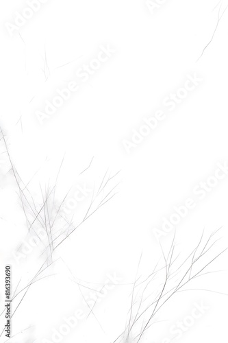 nature background with abstract white textured background with scratches