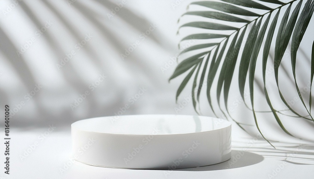 Round Product Podium on a White Background, Tree Shadow, 3D Mockup Background Round Product Podium on a White Background, Tree Shadow, 3D Mockup Background