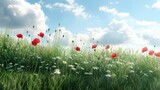 Poppies and daisies blooming in a grassy field