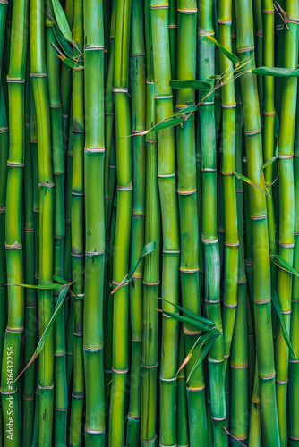 Bamboo Forest In The Form Of A Tourist Photo For Background Created Using Artificial Intelligence